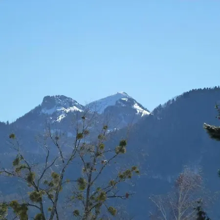 Lägenhet In Black Forest With Valley View
