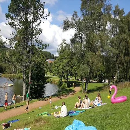 In Black Forest With Valley View *