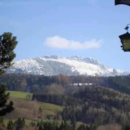 In Black Forest With Valley View *