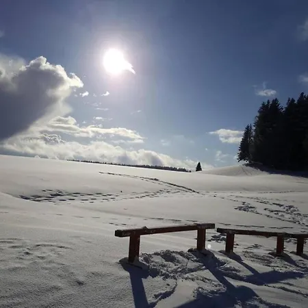 Lägenhet In Black Forest With Valley View *