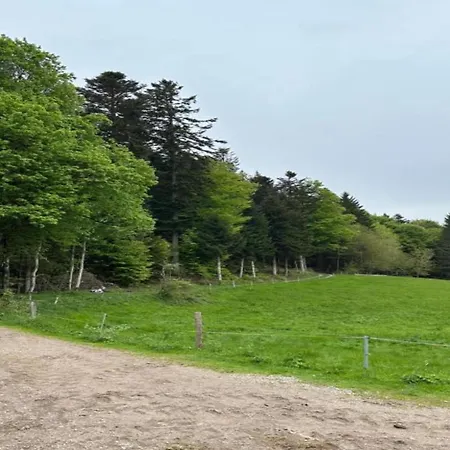 Im Bernautal Bernau im Schwarzwald