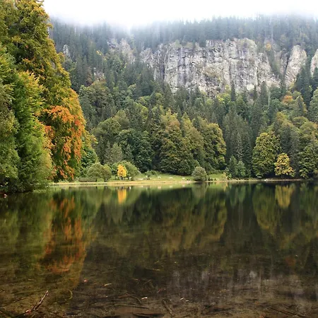 Lejlighed Im Bernautal