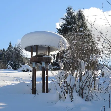 Im Bernautal Bernau im Schwarzwald