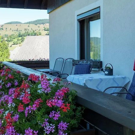 In Black Forest With Valley View Apartment