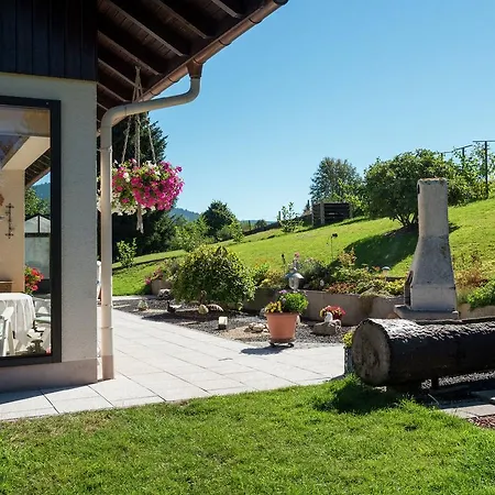 In Black Forest With Valley View