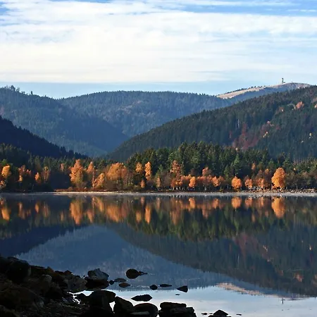 In Black Forest With Valley View Lägenhet *