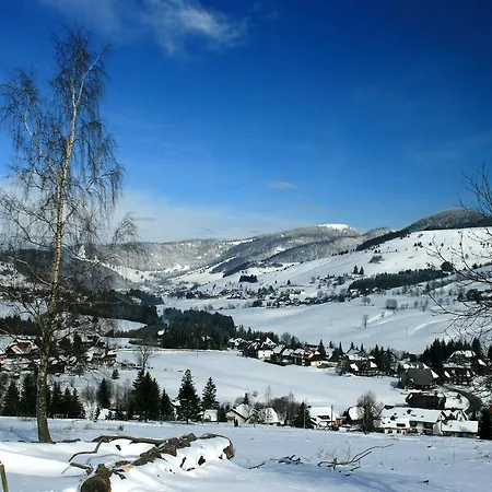 Lägenhet In Black Forest With Valley View